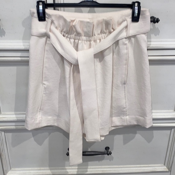 Aritzia Belted High Waited Shorts - Picture 2 of 5